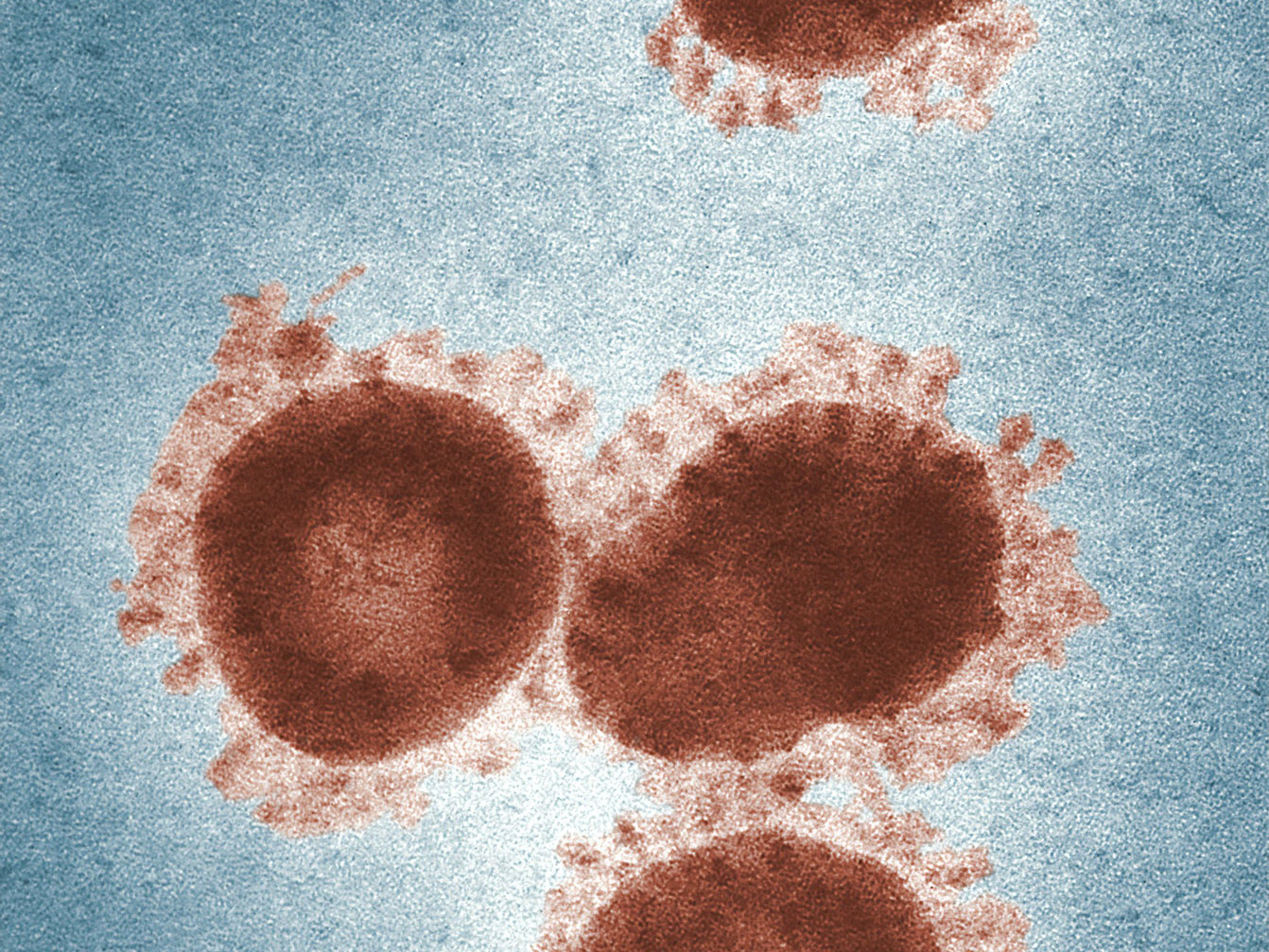 Guia per a l’actuació en l’àmbit laboral en relació al nou coronavirus